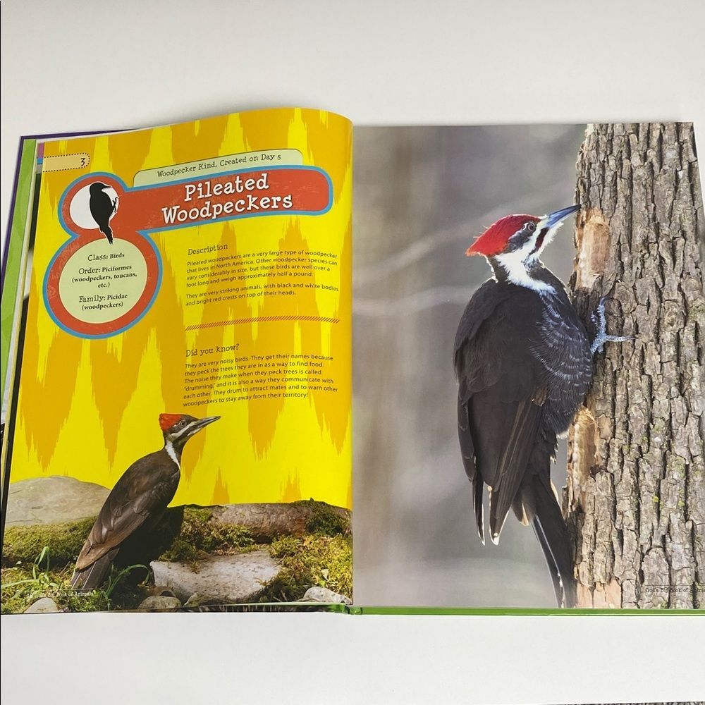 Master Books God's Big Book of Animals - Educational Book for Kids-Homeschool - Picture 8 of 16